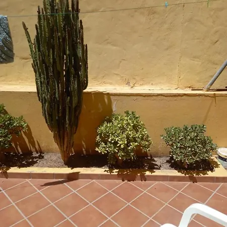 Sun & Apartment *